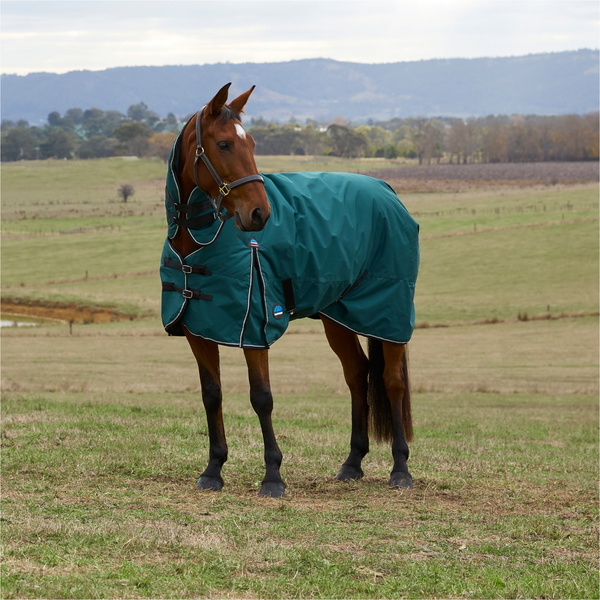 2025 WeatherBeeta Comfitec Classic Turnout Combo 1029069 - Forest Green